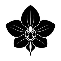 
Silhouette of an orchid flower with buds and curved stem vector illustration