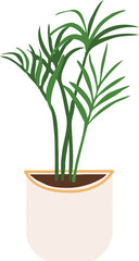 houseplant Indoor potted plant kentia illustration