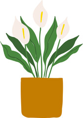 Houseplant Indoor potted plant peace lily illustration