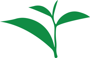 Tea Leaf icon in flat. botany, bio, organic, vegetarian, fresh, nature design leaves isolated on transparent background
