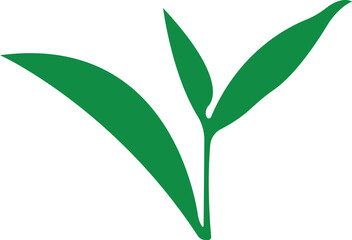 Tea Leaf icon in flat. botany, bio, organic, vegetarian, fresh, nature design leaves isolated on transparent background