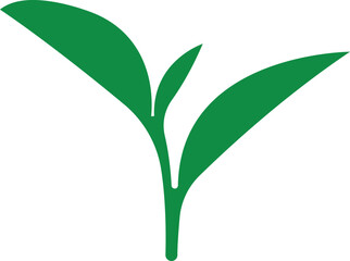 Tea Leaf icon in flat. botany, bio, organic, vegetarian, fresh, nature design leaves isolated on transparent background