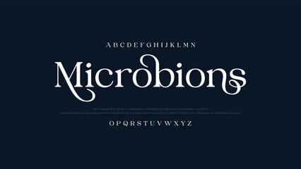  Elegant Serif Font – Luxury Branding Typeface for Logos Invitations. Modern Calligraphy Script Font – Elegant Handwritten Typeface for Wedding Branding.