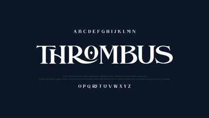  Elegant Serif Font – Luxury Branding Typeface for Logos Invitations. Modern Calligraphy Script Font – Elegant Handwritten Typeface for Wedding Branding.