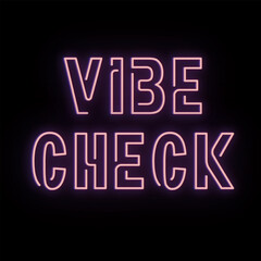 Vector text illustration for Vibe Check.