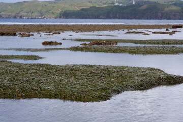 Local Beach at Batan Island, Batanes, Philippines