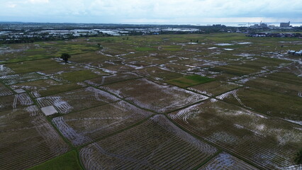 Aerial view of rice fields that have just been plowed by farmers