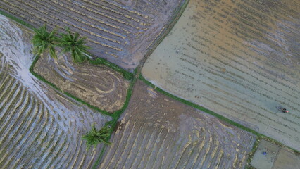 Aerial view of rice fields that have just been plowed by farmers