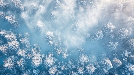 Obraz premium Sunlight hitting snow-covered trees in a bright winter landscape texture background