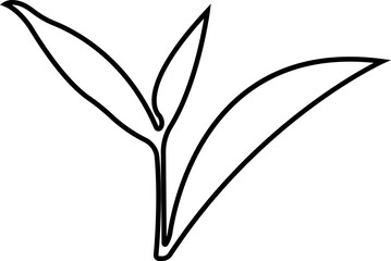 Tea Leaf icon in line botany, bio, organic, vegetarian, fresh, nature design leaves isolated on transparent background