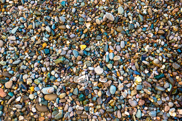 Colored pebbles on the beach. Natural background