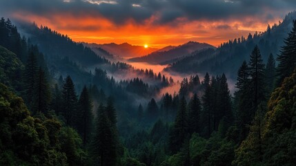 Fototapeta premium Majestic sunset over a valley shrouded in mist, with towering forested mountains
