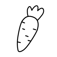 Carrot line icon vector
