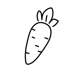 Carrot line icon vector