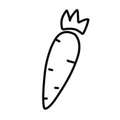 Carrot line icon vector
