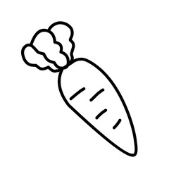 Carrot line icon vector