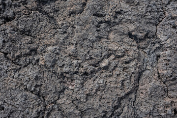 Nahaufnahme einer grau-schwarzen Lava-Textur auf dem Boden. Porös, rissig und steinern, ideal als...