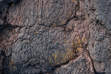 Nahaufnahme einer grau-schwarzen Lava-Textur auf dem Boden. Porös, rissig und steinern, ideal als...