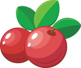 A vibrant and detailed vector art illustration showcasing the delicious and fresh cranberry fruit with rich colors and textures.