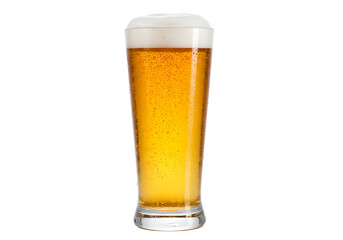 Refreshing Beer in a Tall Glass