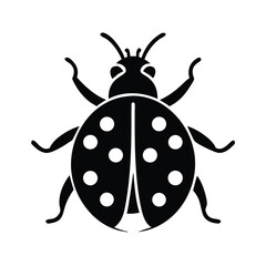 Detailed Black and White Ladybug Illustration