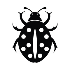 Detailed Black and White Ladybug Illustration