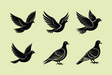 Mourning Dove bird, silhouette vector illustration