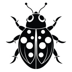 Detailed Black and White Ladybug Illustration