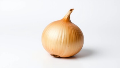 Single onion on white background (3)