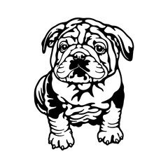 puppy English Bulldog Dog Breed - Pet Vector Cut file, Dog Silhouette Stencil - Cricut file