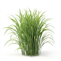 Obraz premium Lemon grass vegetable isolated 3D render on white background 