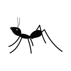 ant
