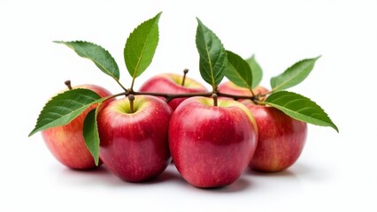 Red Apples Still Life On White