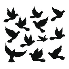 Doves Flying Silhouette