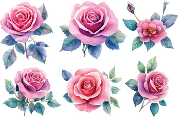 Naklejka premium set of roses vector illustration
