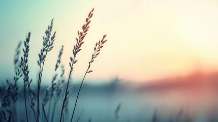 Obraz premium Artistic macro of meadow plants reacting to wind, soft pastel mood