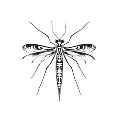 the ant vector