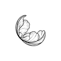 Botanical Line Art: Elegant Peony Flower on White Background