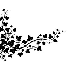 Elegant Black and White Ivy Vine Design, Corner Border