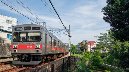 Naklejka premium 樹木の横を走る電車