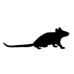 black silhouette rat set icon vector