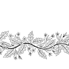 Floral Border Illustration: Vintage, Botanical, White Background