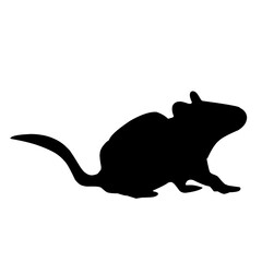 black silhouette rat set icon vector