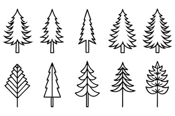Spruce Tree Variations on White Background