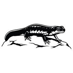  Lizard on white background isolated with detailed macro view of its tail and eye