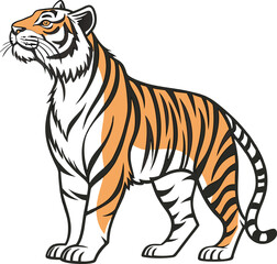 tiger vector illustration