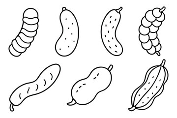 Different Tamarind Types on Display