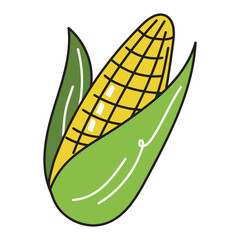 Corn, hand drawn doodle illustration, vector