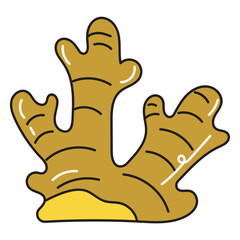 ginger, hand drawn doodle illustration, vector