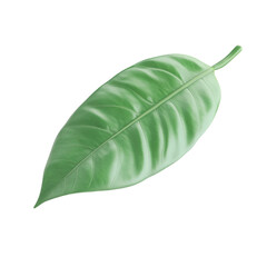 Obraz premium Green leaf over colorful vertical lines a vibrant nature design